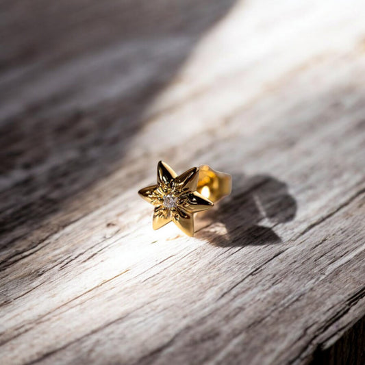 18K Real Gold Mini Sparkling Hexagram Diamond Stud Earrings